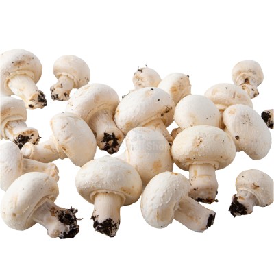 Шампиньоны свежие 500 г - купить в Большой Коклала